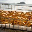 Load image into Gallery viewer, Cornwall Pasties Gift Card